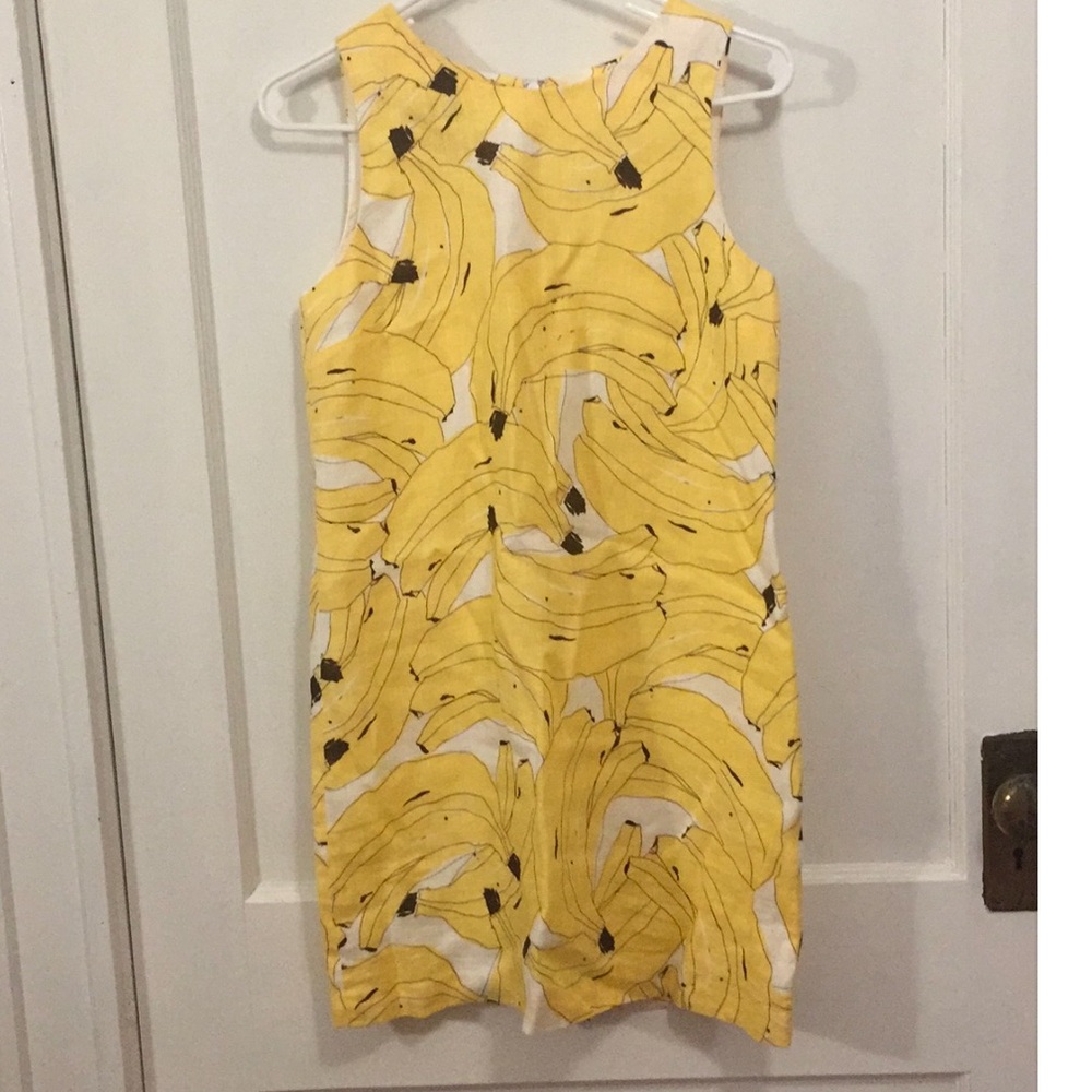 Island Company Shift Dress size XS